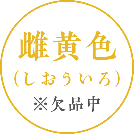雌黄色 欠品中