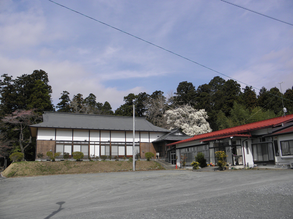 陸奥総社宮の白木蓮（ハクモクレン）